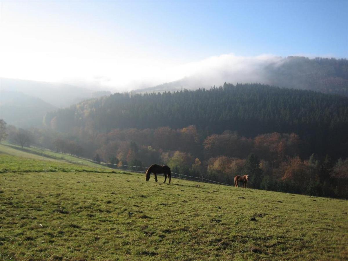 Ferienhaus Rhoenspass Mosbach  المظهر الخارجي الصورة